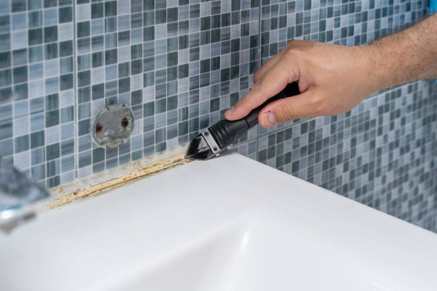 Best Local Mold Removal Service  in Green Island, NY